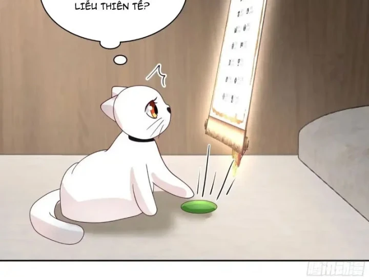 Nữ phụ tu tiên từ chối kịch bản làm pháo hôi Chapter 36 - 64