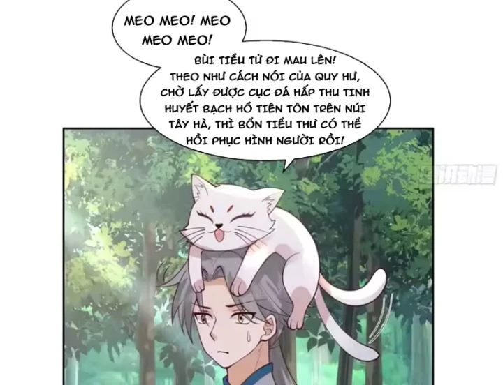 Nữ phụ tu tiên từ chối kịch bản làm pháo hôi Chapter 37 - 21