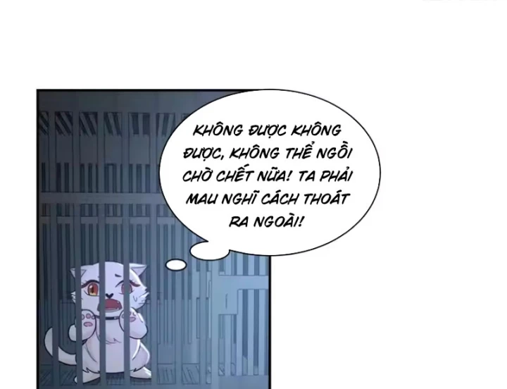 Nữ phụ tu tiên từ chối kịch bản làm pháo hôi Chapter 39 - 26