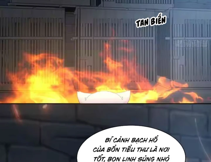 Nữ phụ tu tiên từ chối kịch bản làm pháo hôi Chapter 39 - 33