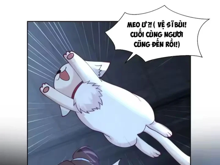 Nữ phụ tu tiên từ chối kịch bản làm pháo hôi Chapter 40 - 68