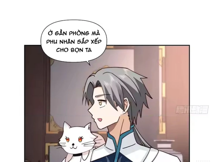 Nữ phụ tu tiên từ chối kịch bản làm pháo hôi Chapter 41 - 22