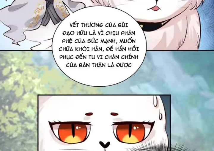 Nữ phụ tu tiên từ chối kịch bản làm pháo hôi Chapter 42 - 22