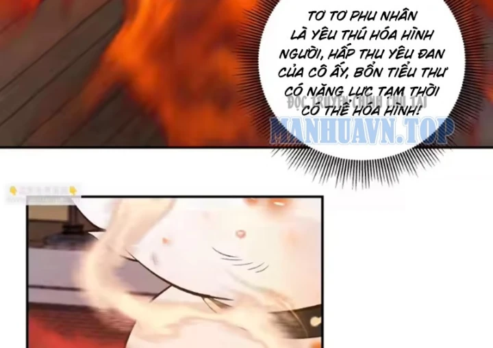 Nữ phụ tu tiên từ chối kịch bản làm pháo hôi Chapter 42 - 30