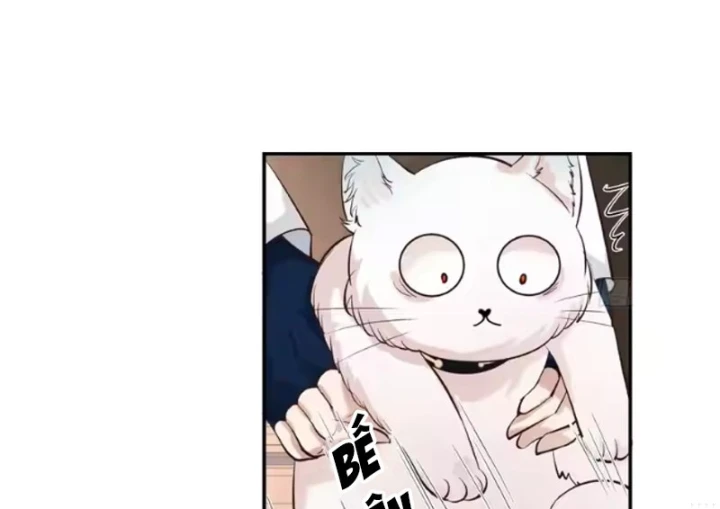 Nữ phụ tu tiên từ chối kịch bản làm pháo hôi Chapter 42 - 35