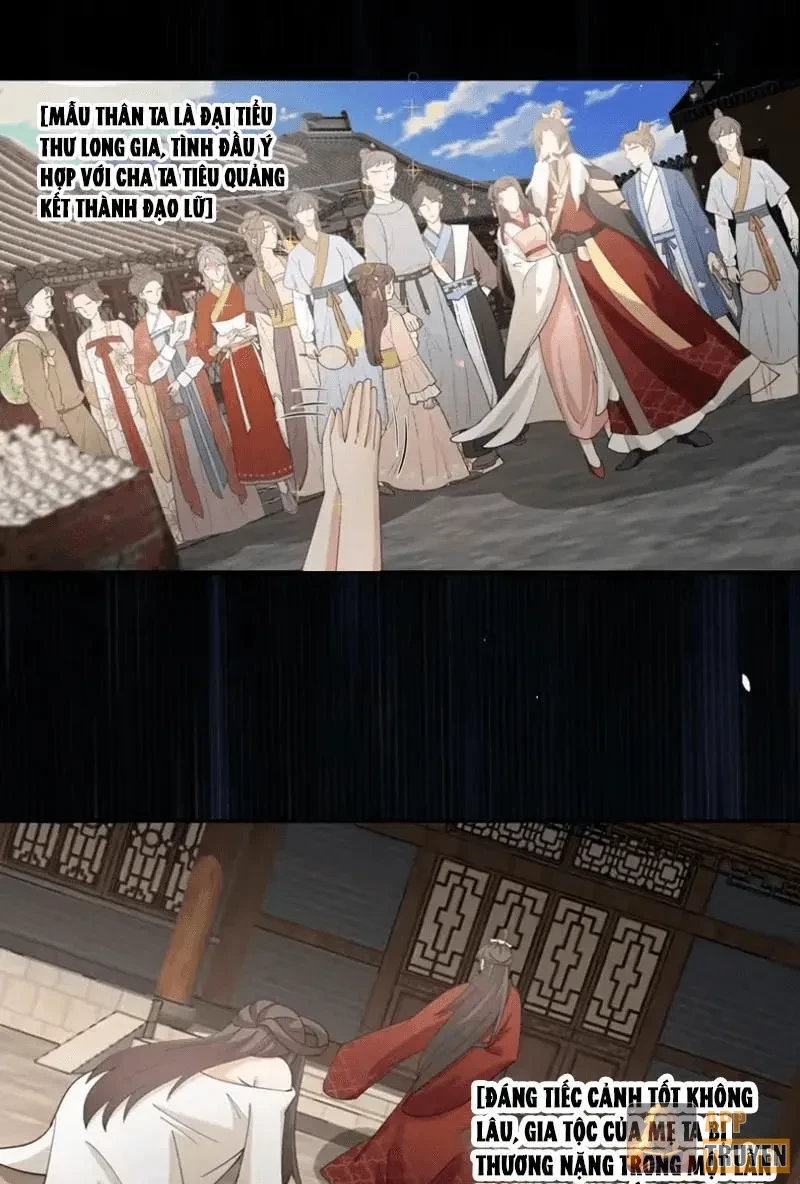 Nữ phụ tu tiên từ chối kịch bản làm pháo hôi Chapter 43 - 28