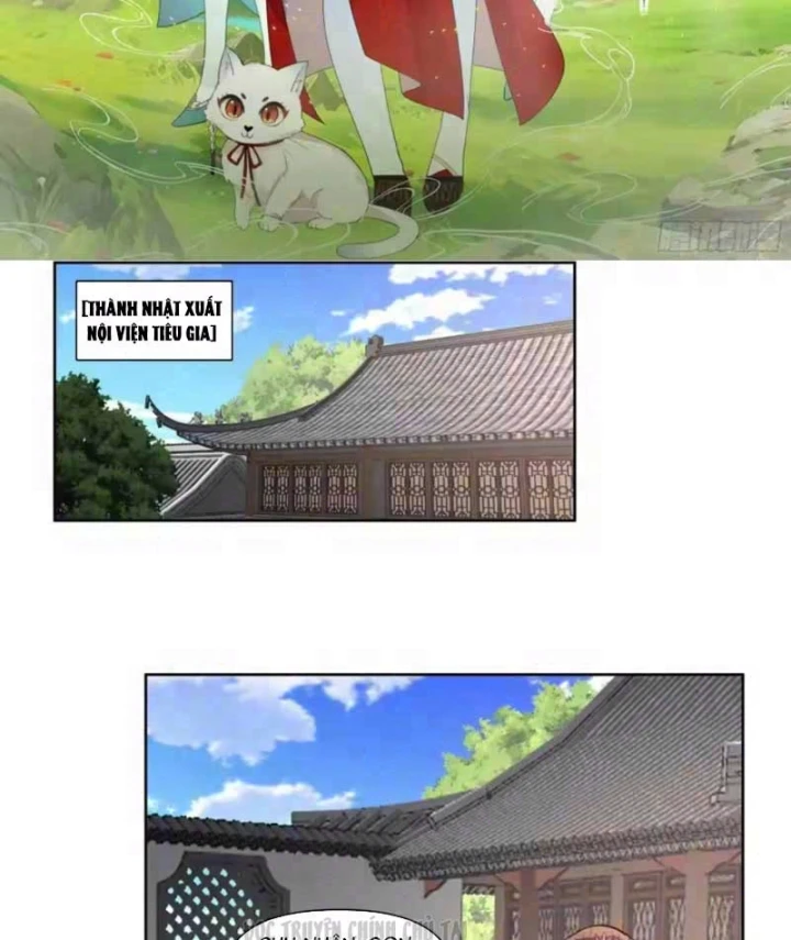 Nữ phụ tu tiên từ chối kịch bản làm pháo hôi Chapter 44 - 2