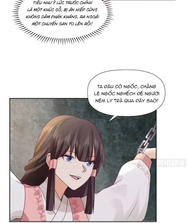 Nữ phụ tu tiên từ chối kịch bản làm pháo hôi Chapter 44 - 14