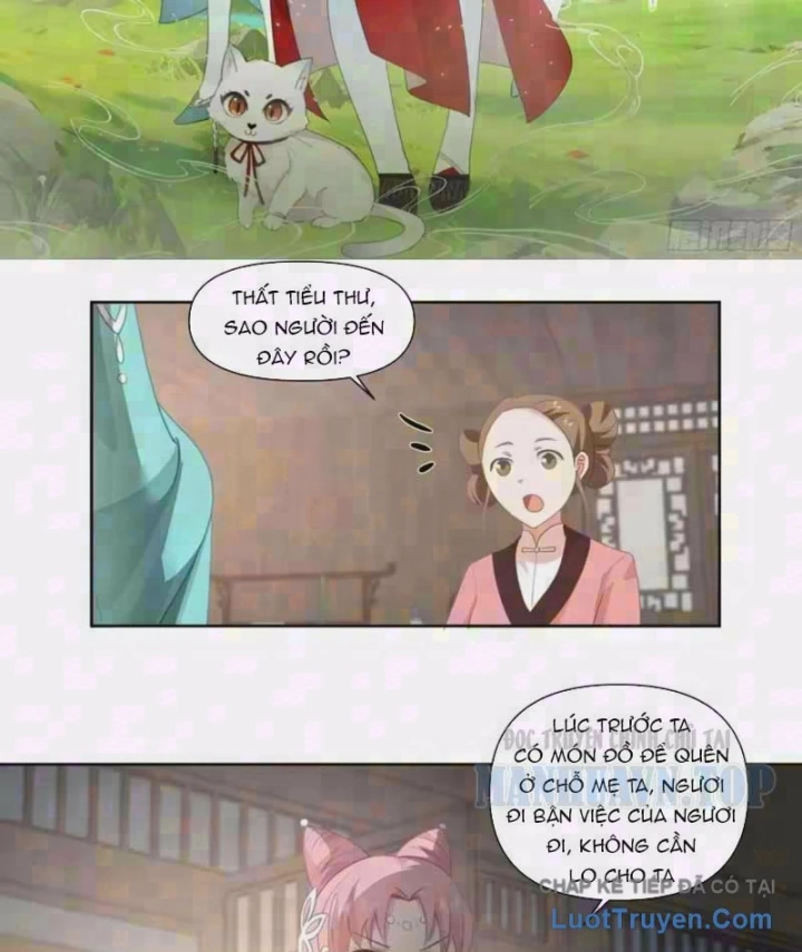 Nữ phụ tu tiên từ chối kịch bản làm pháo hôi Chapter 46 - 2