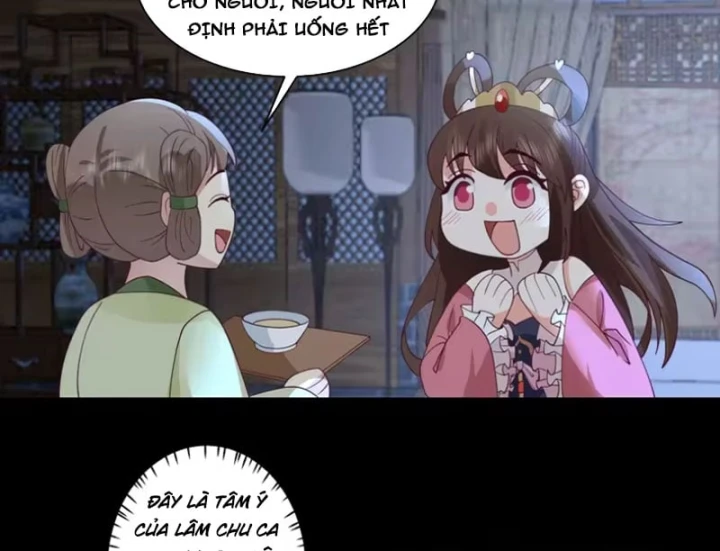 Nữ phụ tu tiên từ chối kịch bản làm pháo hôi Chapter 49 - 55