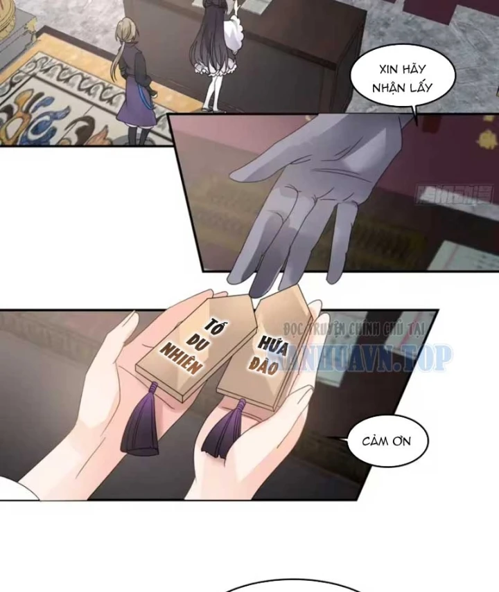 Nữ phụ tu tiên từ chối kịch bản làm pháo hôi Chapter 52 - 22