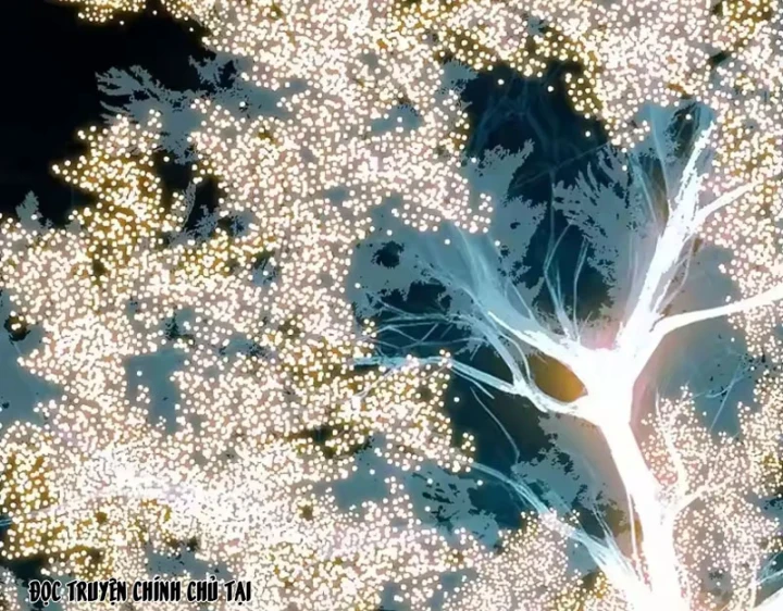 Vương Tạc Chapter 38 - 52