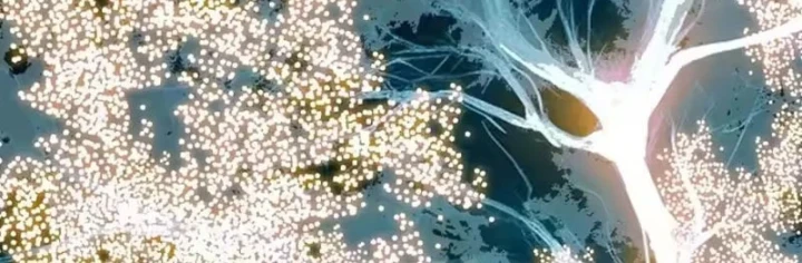 Vương Tạc Chapter 41 - 67