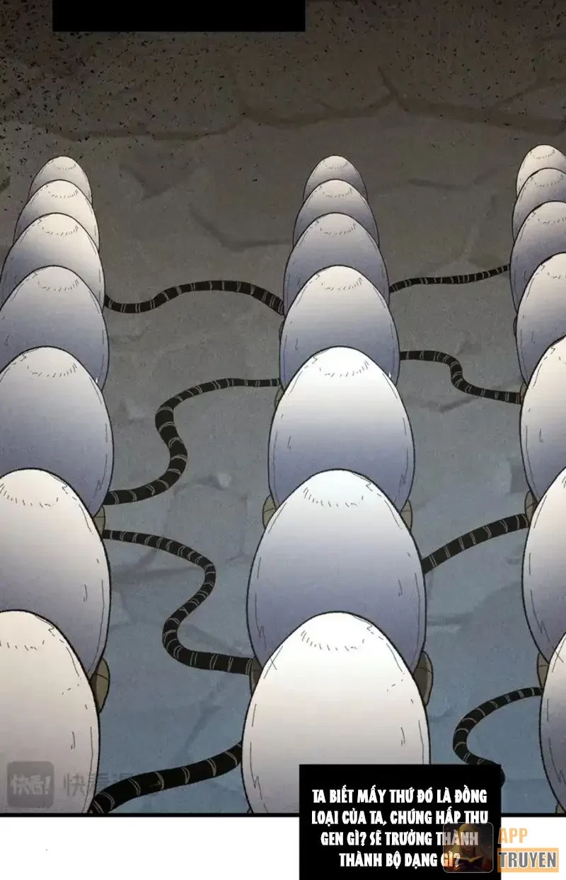 Hư Thực Chi Vương Chapter 41 - 9