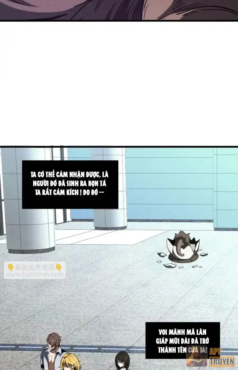 Hư Thực Chi Vương Chapter 41 - 14