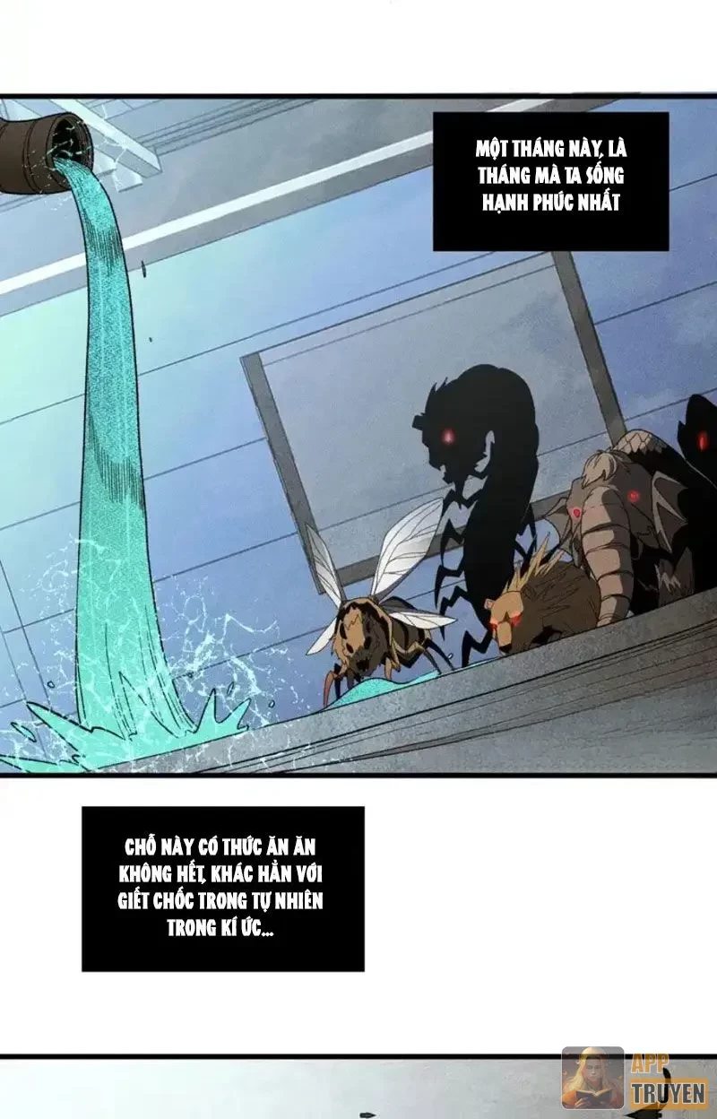 Hư Thực Chi Vương Chapter 41 - 19