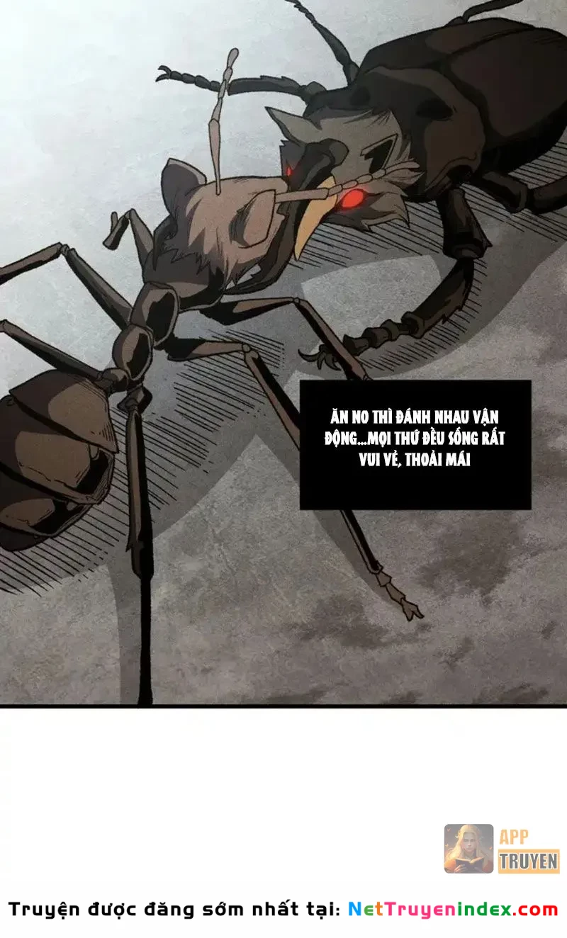 Hư Thực Chi Vương Chapter 41 - 20