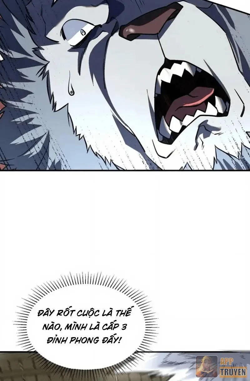 Toàn Cầu Dị Năng: Bắt Đầu Thức Tỉnh Tử Tiêu Thần Lôi Chapter 44 - 46