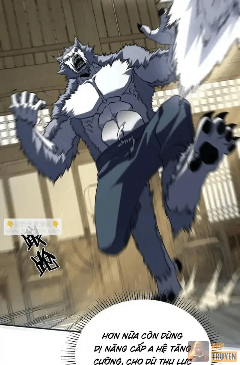 Toàn Cầu Dị Năng: Bắt Đầu Thức Tỉnh Tử Tiêu Thần Lôi Chapter 44 - 47