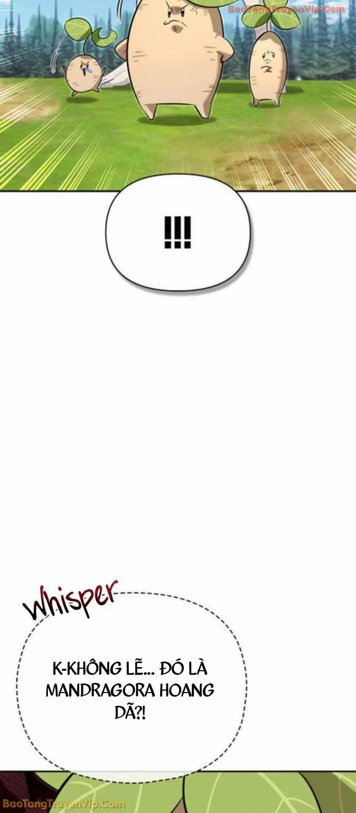 Healer Cấp S Chữa Trị Cho Quái Vật Chapter 17 - 73