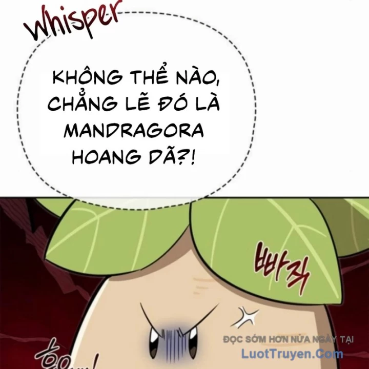 Healer Cấp S Chữa Trị Cho Quái Vật Chapter 18 - 161