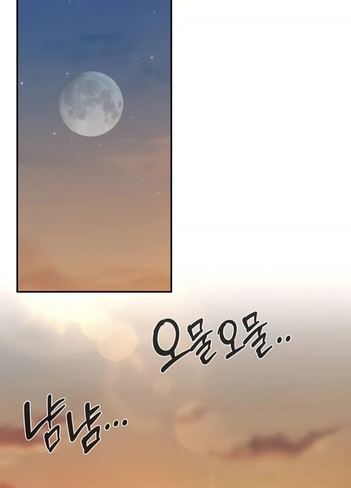 Healer Cấp S Chữa Trị Cho Quái Vật Chapter 19 - 207