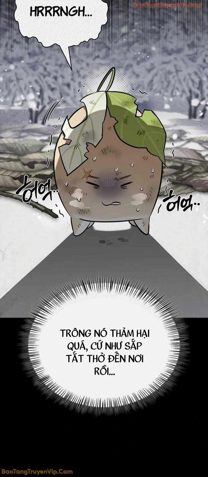 Healer Cấp S Chữa Trị Cho Quái Vật Chapter 24 - 5