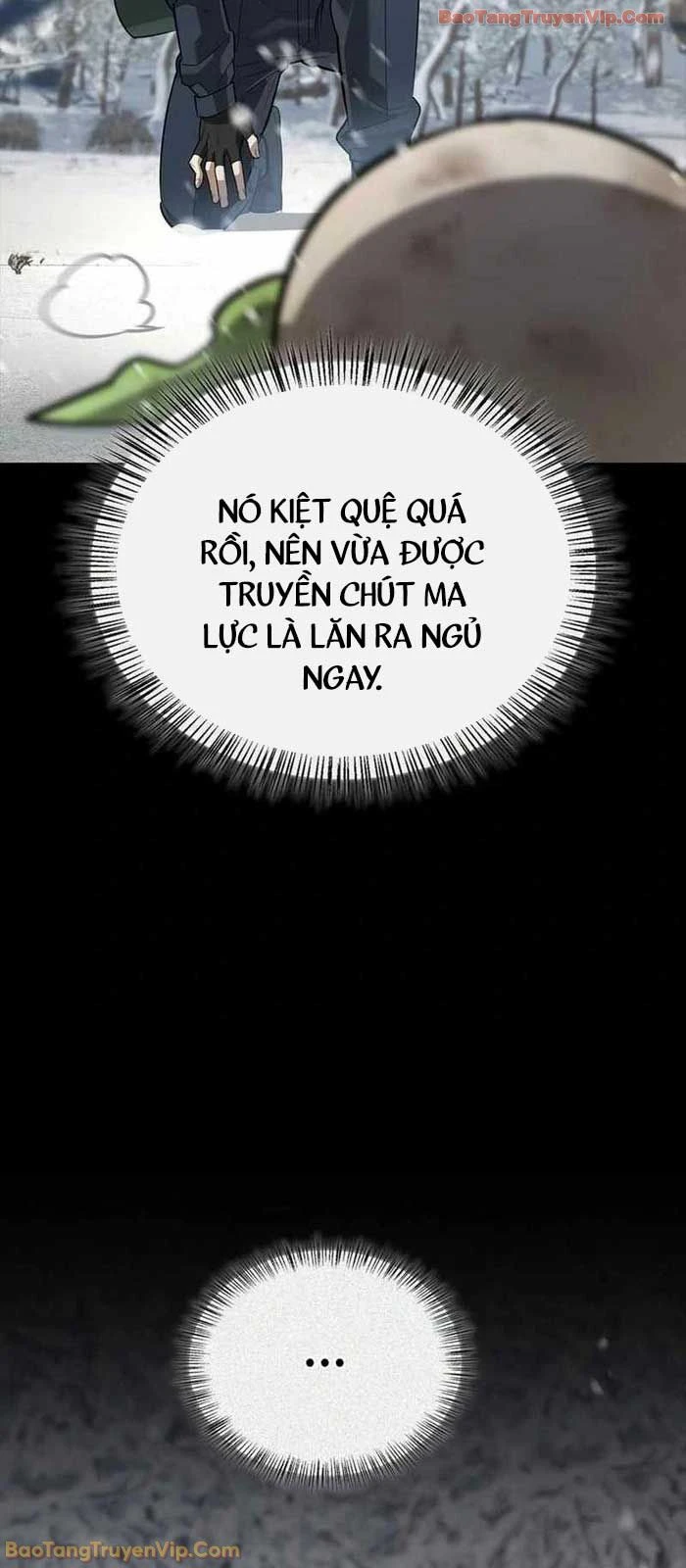 Healer Cấp S Chữa Trị Cho Quái Vật Chapter 24 - 10