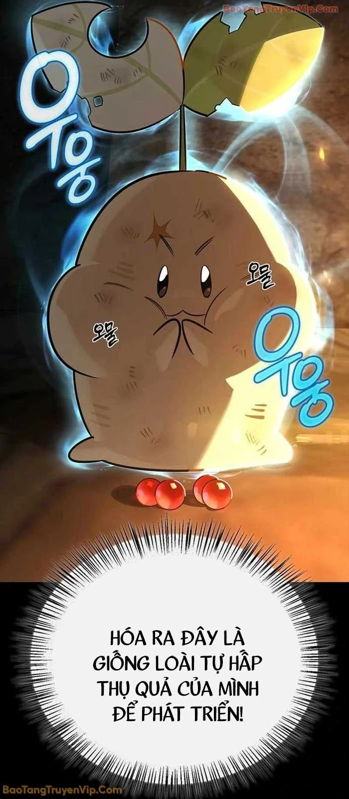 Healer Cấp S Chữa Trị Cho Quái Vật Chapter 24 - 45