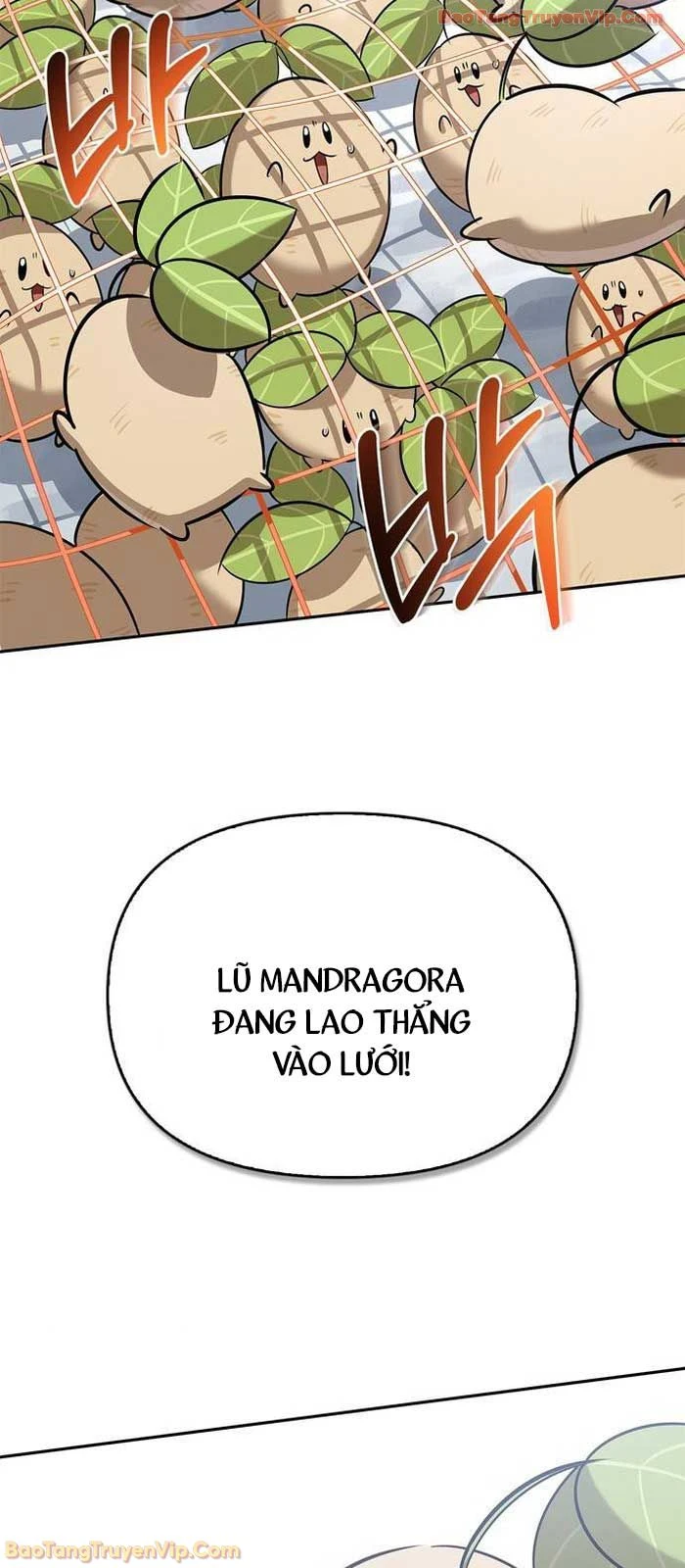 Healer Cấp S Chữa Trị Cho Quái Vật Chapter 25 - 74