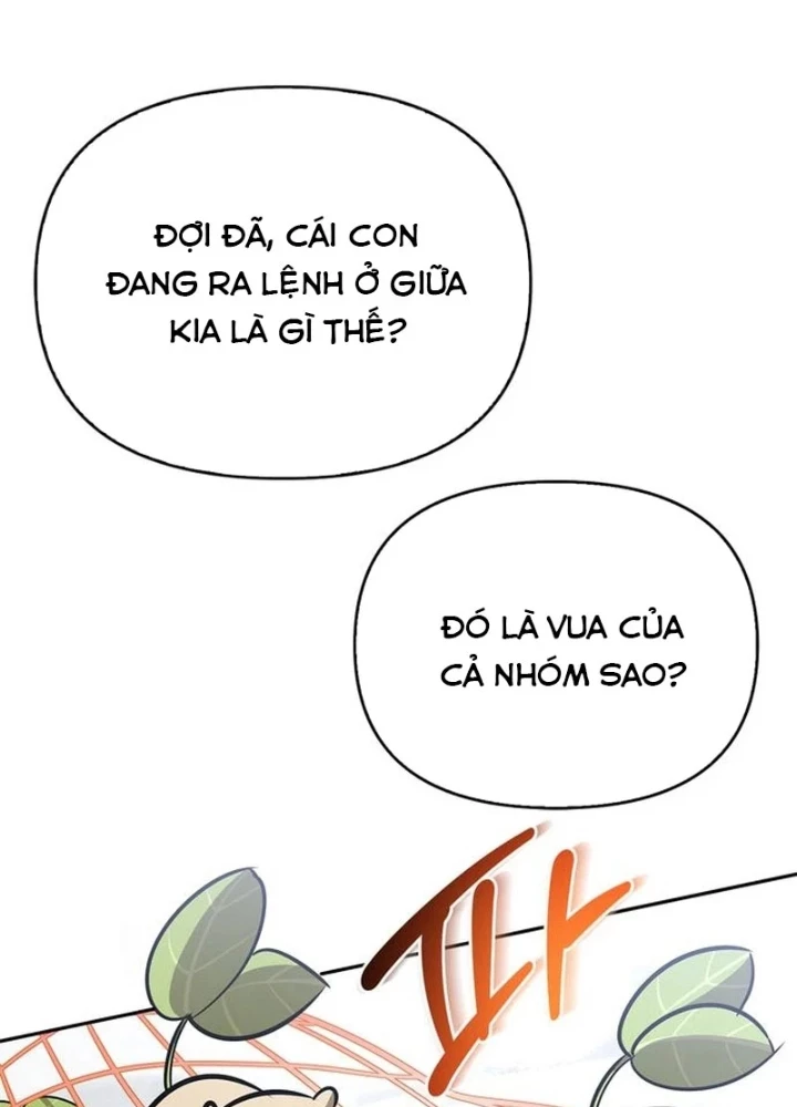 Healer Cấp S Chữa Trị Cho Quái Vật Chapter 26 - 209