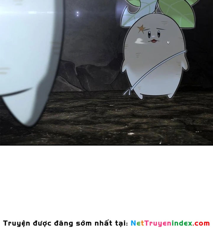 Healer Cấp S Chữa Trị Cho Quái Vật Chapter 27 - 160