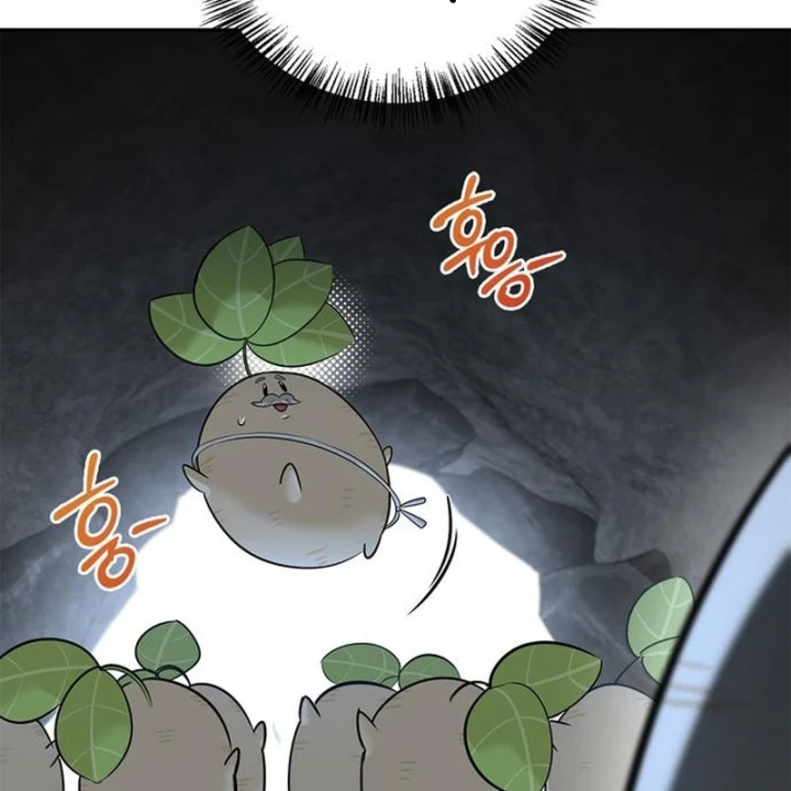 Healer Cấp S Chữa Trị Cho Quái Vật Chapter 27 - 172