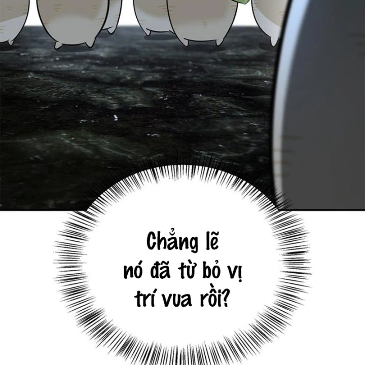 Healer Cấp S Chữa Trị Cho Quái Vật Chapter 28 - 173