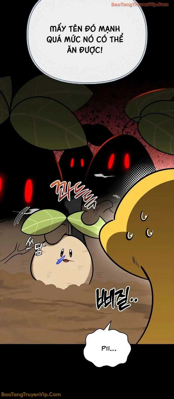 Healer Cấp S Chữa Trị Cho Quái Vật Chapter 30 - 31