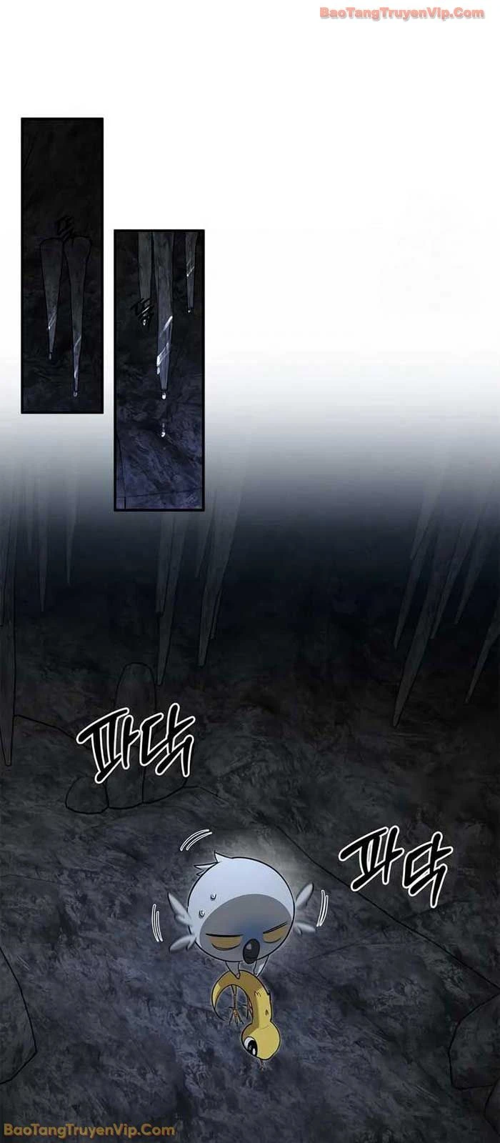 Healer Cấp S Chữa Trị Cho Quái Vật Chapter 30 - 58