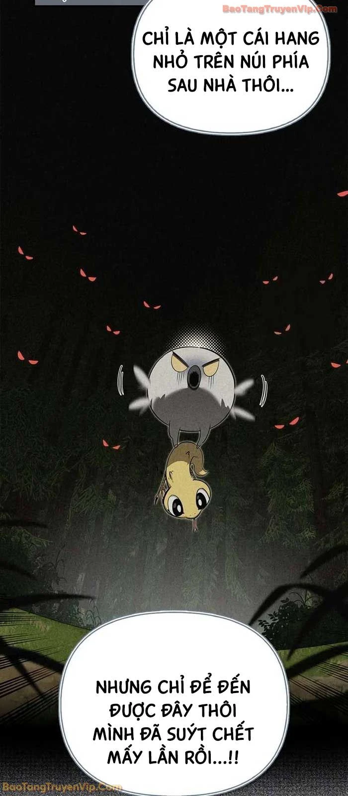 Healer Cấp S Chữa Trị Cho Quái Vật Chapter 30 - 60