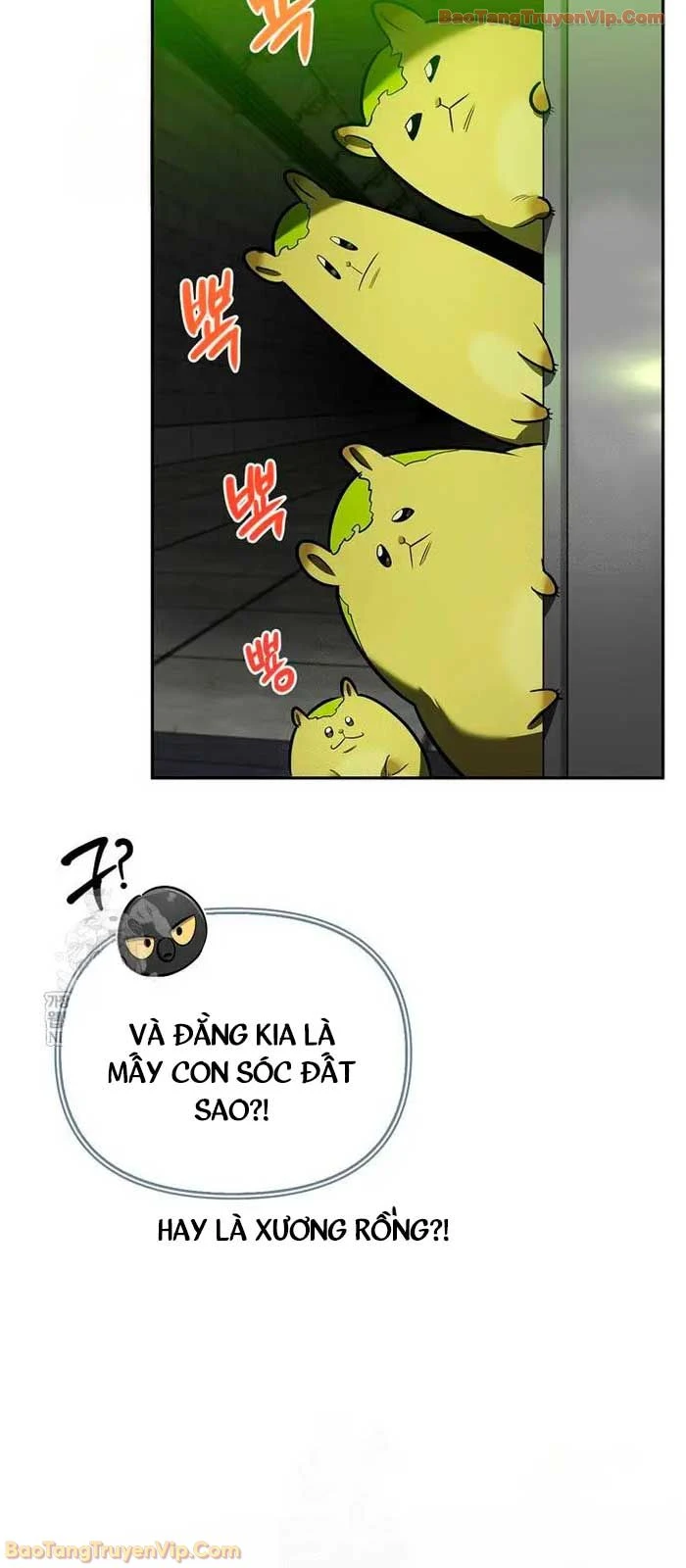 Healer Cấp S Chữa Trị Cho Quái Vật Chapter 21.1 - 52