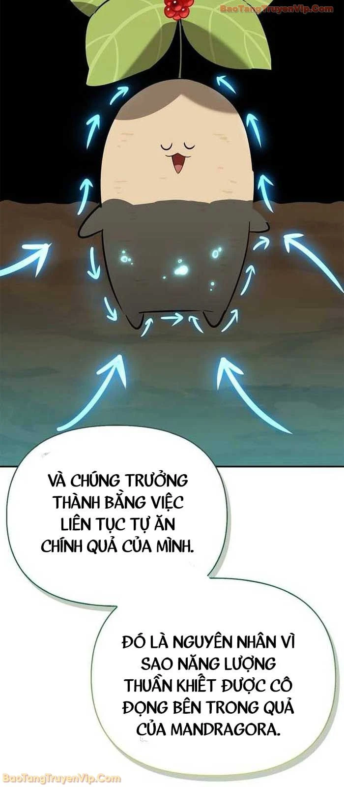 Healer Cấp S Chữa Trị Cho Quái Vật Chapter 23.3 - 85