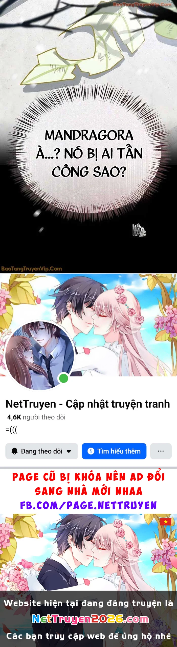 Healer Cấp S Chữa Trị Cho Quái Vật Chapter 23.3 - 99