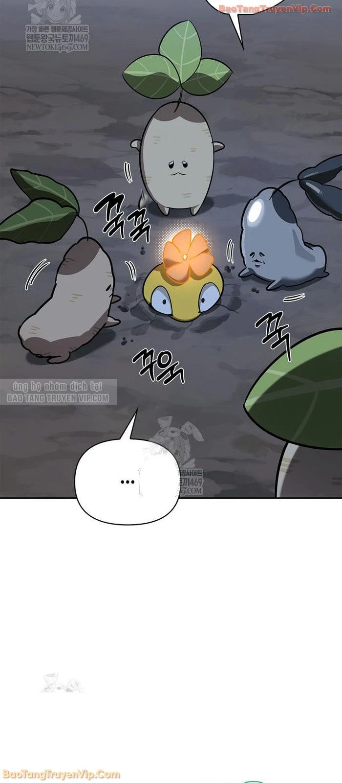 Healer Cấp S Chữa Trị Cho Quái Vật Chapter 31 - 54