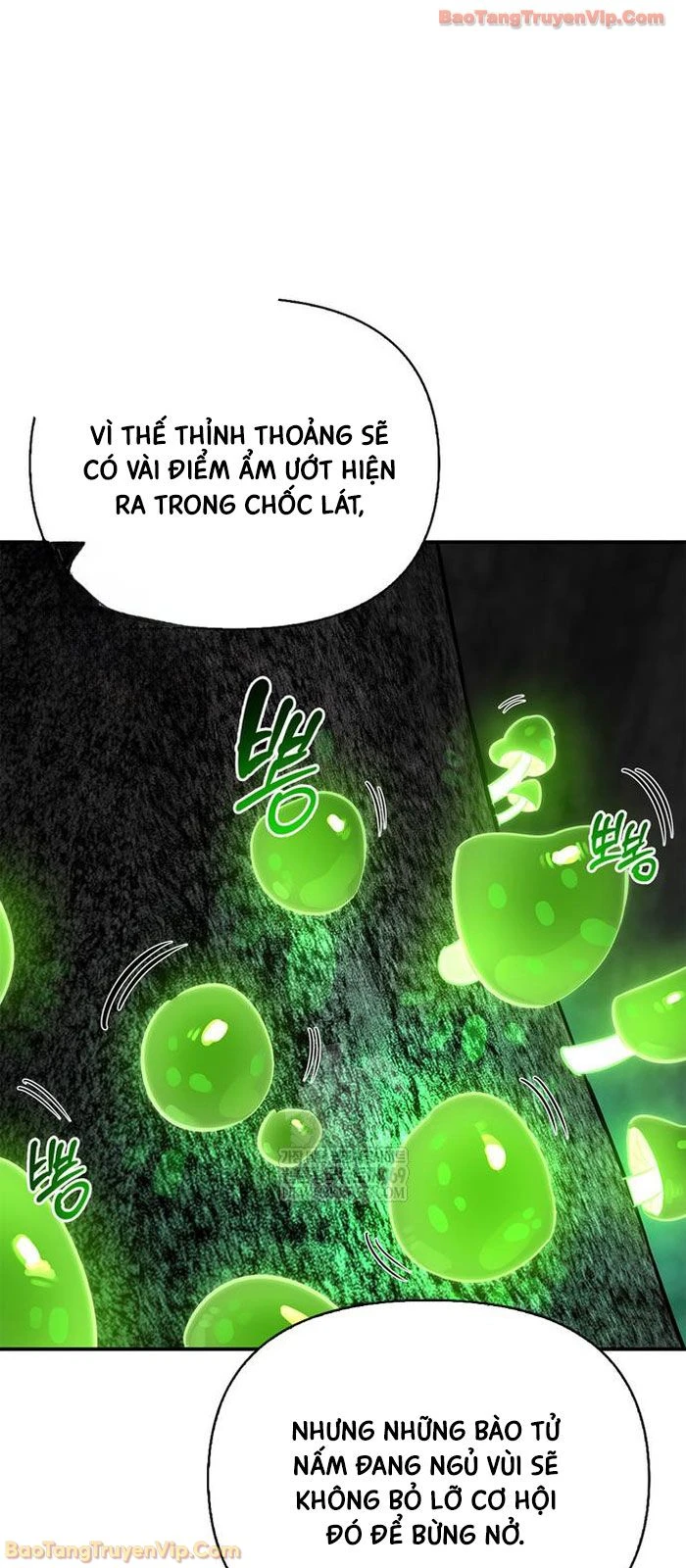 Healer Cấp S Chữa Trị Cho Quái Vật Chapter 33 - 46