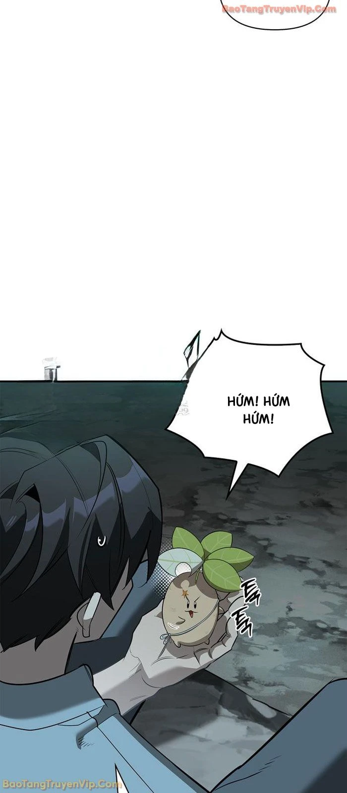 Healer Cấp S Chữa Trị Cho Quái Vật Chapter 33 - 59