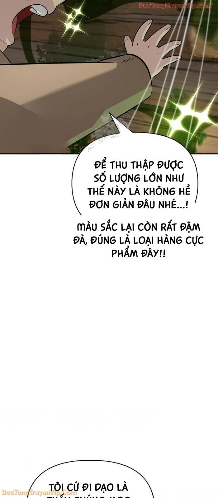 Healer Cấp S Chữa Trị Cho Quái Vật Chapter 33 - 98