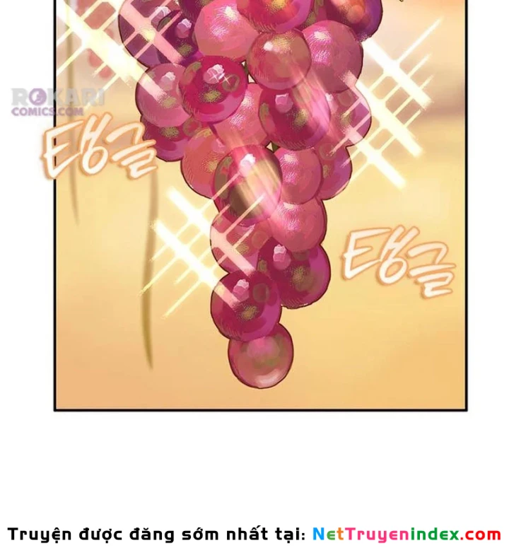 Healer Cấp S Chữa Trị Cho Quái Vật Chapter 36 - 73