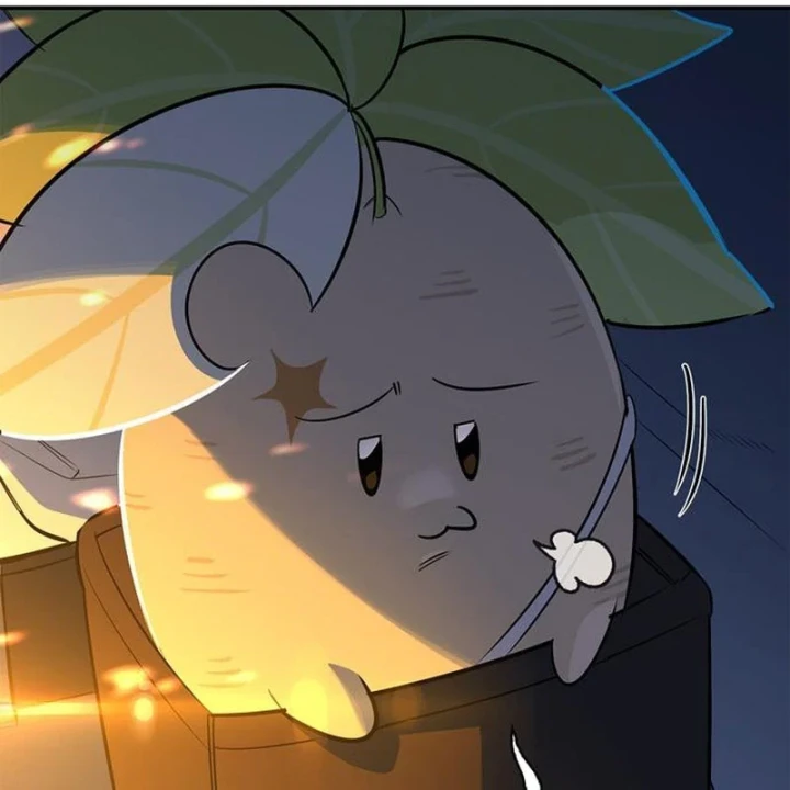 Healer Cấp S Chữa Trị Cho Quái Vật Chapter 37 - 156