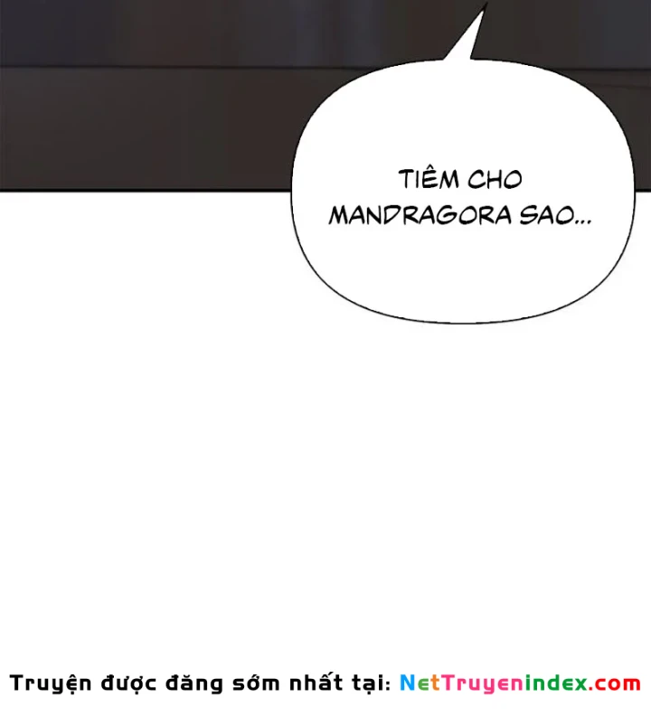 Healer Cấp S Chữa Trị Cho Quái Vật Chapter 37 - 173