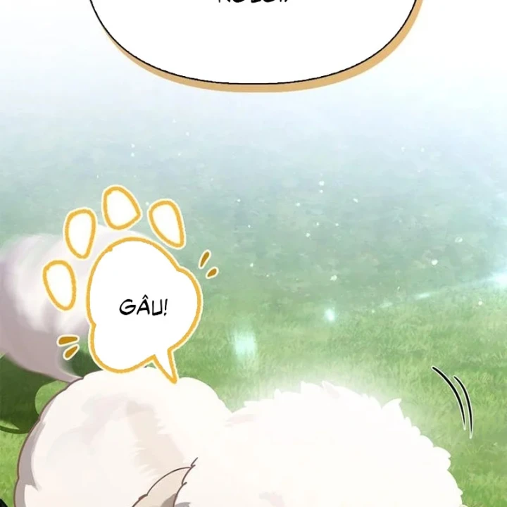 Healer Cấp S Chữa Trị Cho Quái Vật Chapter 39 - 104