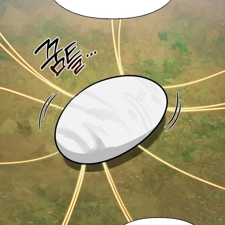 Healer Cấp S Chữa Trị Cho Quái Vật Chapter 39 - 179