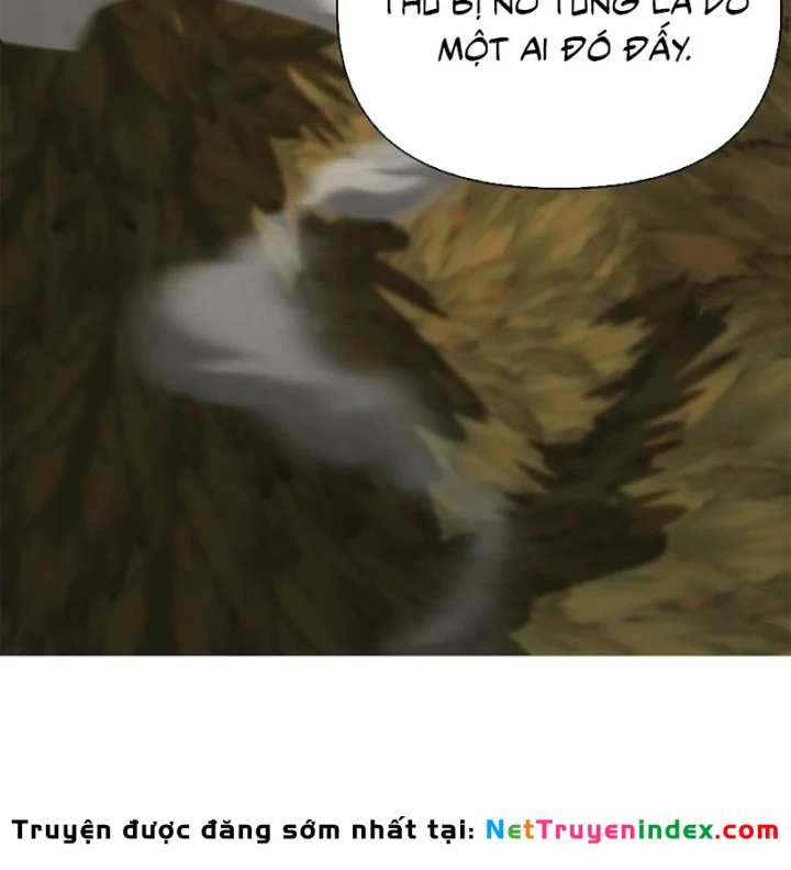 Healer Cấp S Chữa Trị Cho Quái Vật Chapter 39 - 209